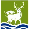 SEO-specialist_Hartlepool